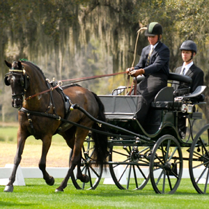 Jacob Arnold winning at the Little Everglades event in the USA driving a Bennington Presentation Carriage